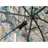 Чадър със странична тента Delphin CLASSA CAMO 250см