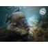 D SNAX SHELL WAFTERS ЧЕСЪН И МАСЛЕНА КИСЕЛИНА 14ММ D SNAX SHELL WAFTERS ЧЕСЪН И МАСЛЕНА КИСЕЛИНА 14ММ