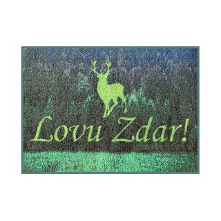 Стелка 3D lovu zdar rug - 60x40cm